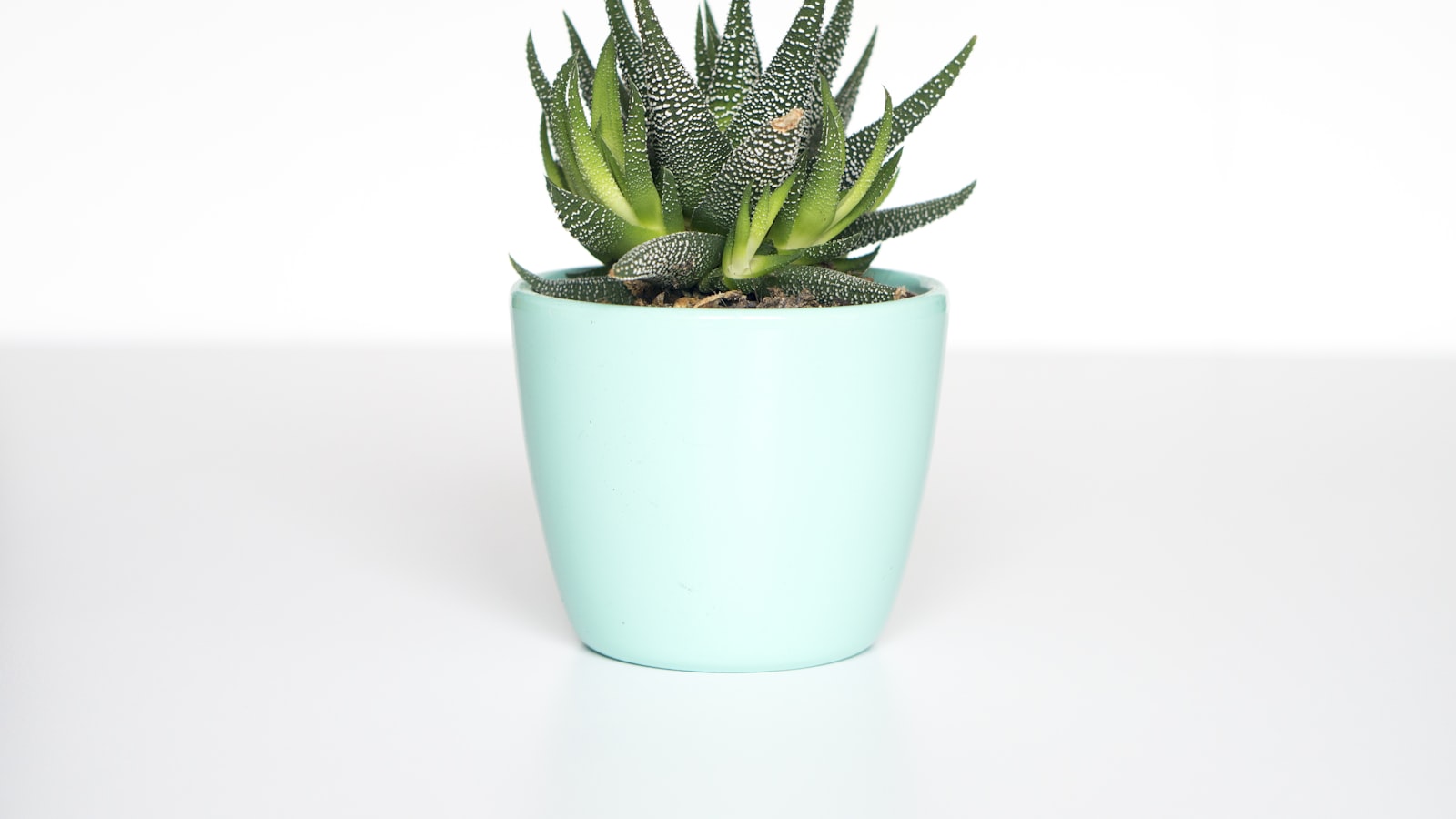 A person looking thoughtfully at a drooping potted houseplant on a wooden table