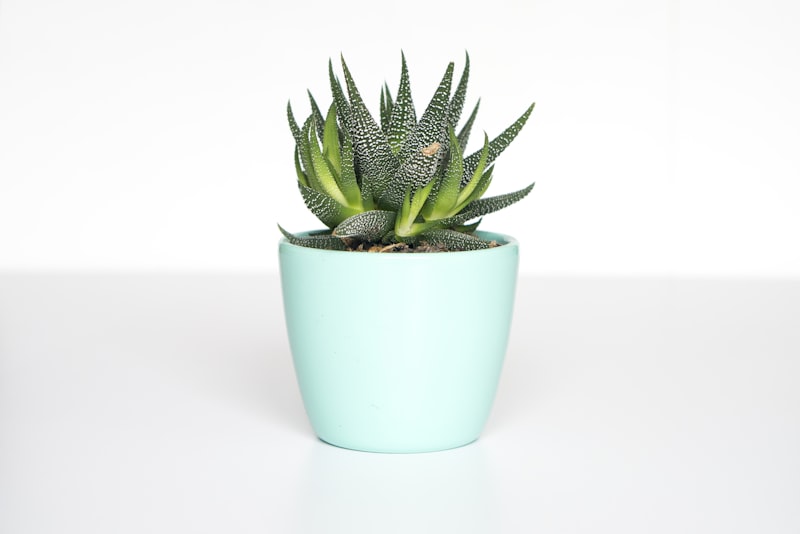 A person looking thoughtfully at a drooping potted houseplant on a wooden table